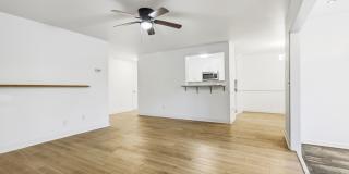 1174 Village Creek Lane - 1 Gallery 8