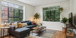 Cameron Court & Shelton Gallery 1