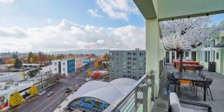 Splash Apartments Gallery 60