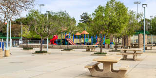 Del Mar Ridge Gallery 23