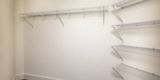 Azara Gallery 53