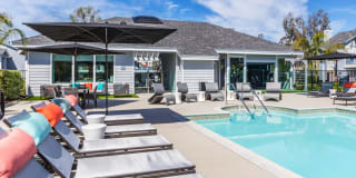 The Highlands Gallery 27