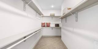 Evolve Champions Gallery 30