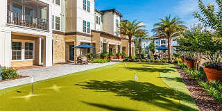 The Alexander at Sabal Point Gallery 21