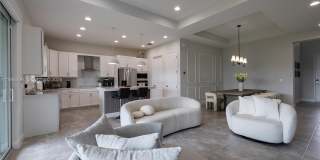 13939 Prickly Cone Cv Gallery 3