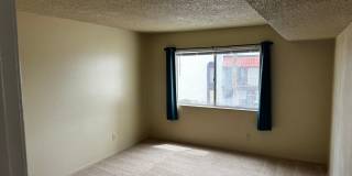 No Minimum Credit Score Needed. Central living, next to community pools. Gallery 8