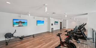The Centro Gallery 58