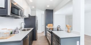 Ocean Club Gallery 5