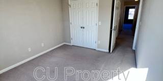 14 Parsley - 1 Gallery 14