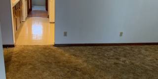 Nandale - Yellow Gallery 4