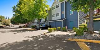 Avana Hamptons Gallery 28