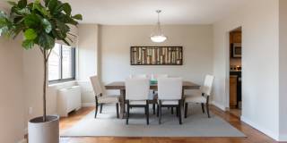 The Pierre Gallery 14