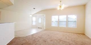 7326 Tamburo Gallery 19
