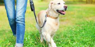 Windsor Johns Creek Gallery 45