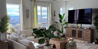 4140 Yucca Bloom Street Gallery 5