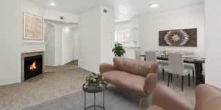 Desert Mirage Gallery 23