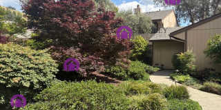 200 Alamo Square Drive Gallery 34
