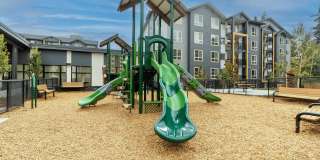 Ravenswood Gallery 21