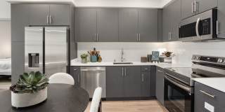 Alta Westwind Gallery 14