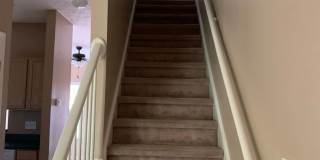 907 Clarendon St~Haymount Gallery 13