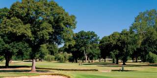 Peachtree Park Apartments Gallery 18