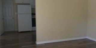 House for Rent - St Petersburg 3 Bedroom 1 Bath w WD Room Gallery 8