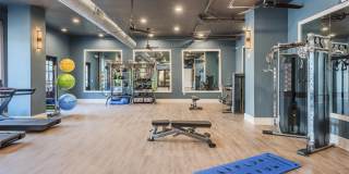 Artizia at Loso Gallery 28