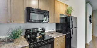 Summerfield at Morgan Metro Gallery 4