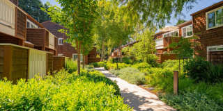 Peartree Apartments Gallery 30