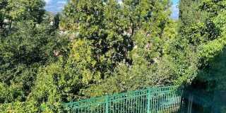 759 Cranmont Court Gallery 19