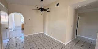 11031 Sierra Tree Gallery 4