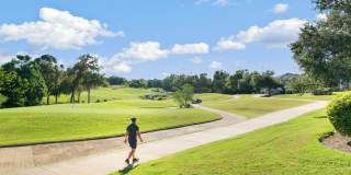 Falconhead Gallery 1