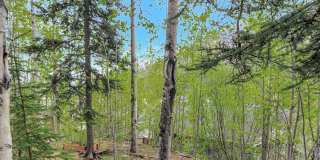 COMING SOON! Stunning Updated Eagle River Home with Expansive Mountain Views Gallery 48