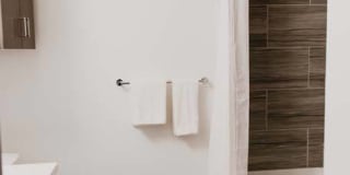 Tanager Tanager Gallery 72