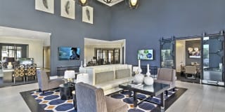 The Collection Gallery 24