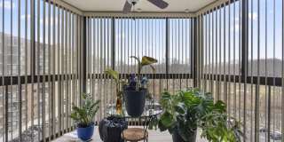 15101 INTERLACHEN Drive Gallery 12