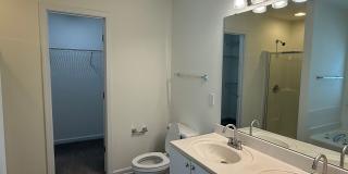 10411 Hellebore Road Gallery 20