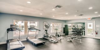 Spectra at Plantation Gallery 6