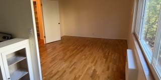 Park Manor Gallery 27