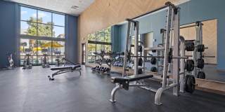 Solas Glendale Gallery 19