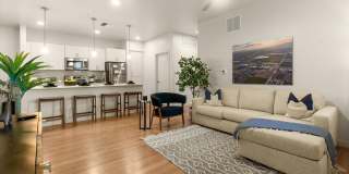 Acero at the Stadium Gallery 3