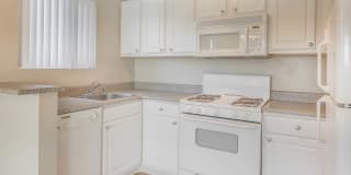 The Vantage Gallery 13