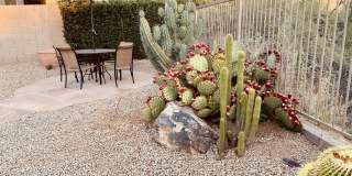 6925 E Sienna Bouquet Place Gallery 31