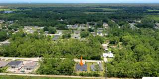 26 Serbian Bellflower Trail Gallery 39