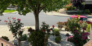 417 Powell Drive Gallery 2