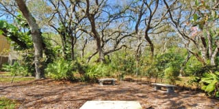 Stone Creek Gallery 15