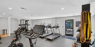 Aventura Bellevue Gallery 12