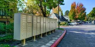 Hampton Ridge Apartments Gallery 6