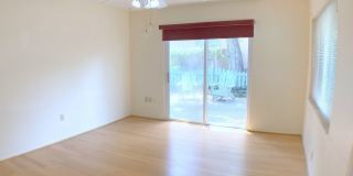 Great 4BR/2BA South Tampa home with Large fenced yard. Gallery 3