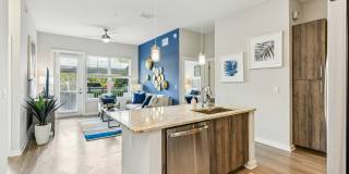 Overture Dr. Phillips Age 55+ Apartment Homes Gallery 13